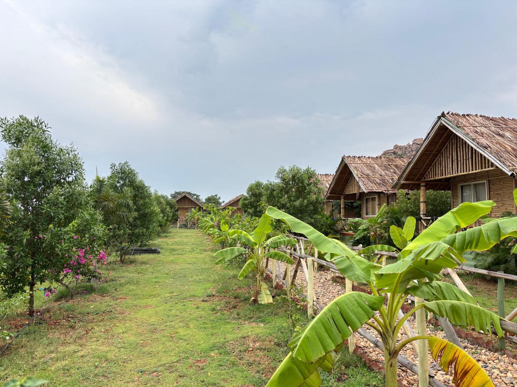 Mowgli'S Cafe Hampi & Guest House מראה חיצוני תמונה